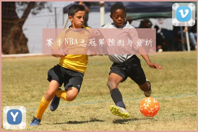 赛季NBA总冠军预测与分析